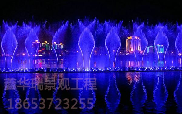 上海市植物園音樂噴泉工程